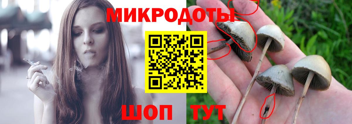 Челябинск  Галлюциногенные грибы ЛСД  Вход с VPN 